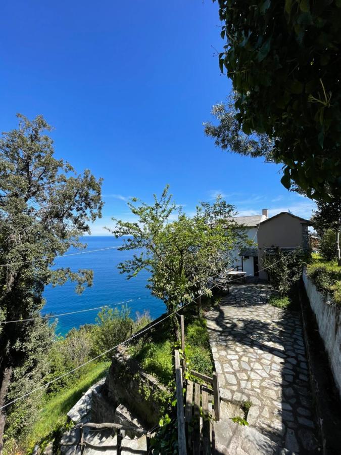 Double Studio Room By The Sea Tsagarada Exterior photo